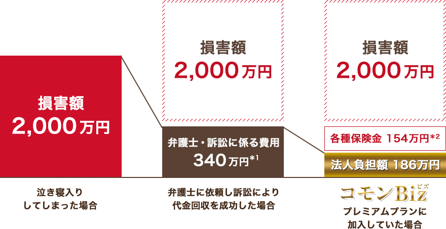コモンBizのプレミアムプランに加入していた場合の損害額