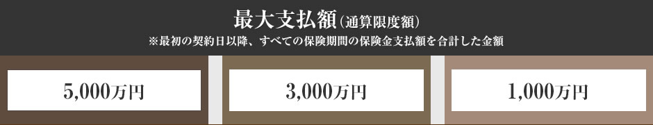 最大支払額(通算限度額)